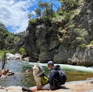 Meet your Posher, Toan